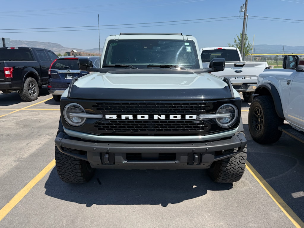 1FMDE5CP8MLA99353