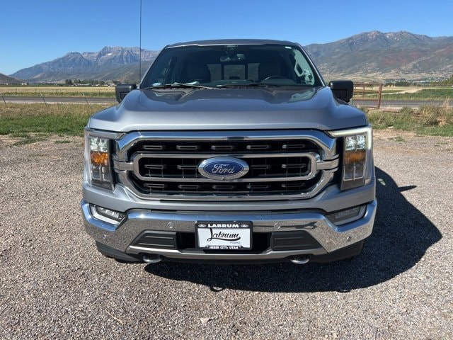 Used 2021 Ford F-150 XLT with VIN 1FTFW1E89MKD16861 for sale in Heber, UT