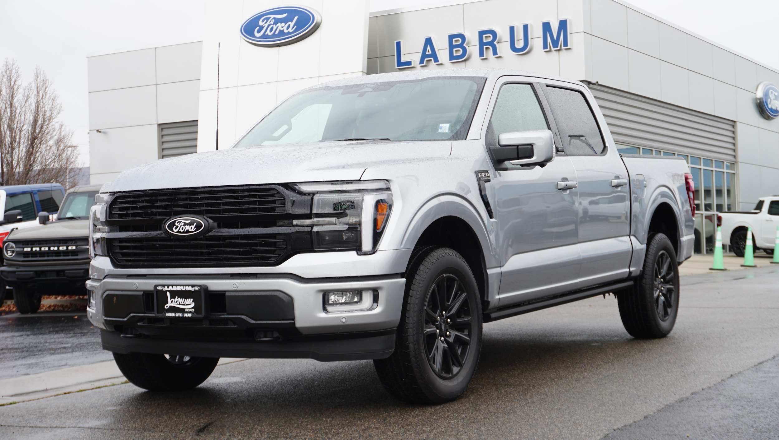 2025 Ford F-150 Platinum's photo
