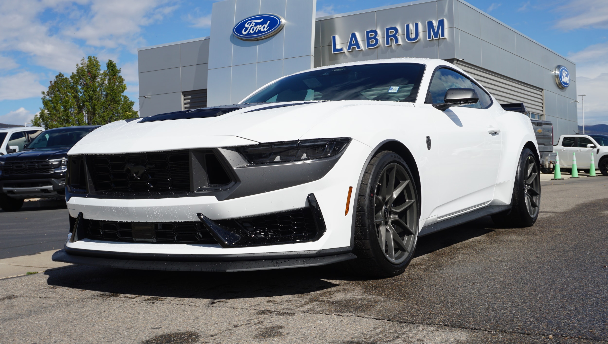 2025 Ford Mustang Dark Horse's photo