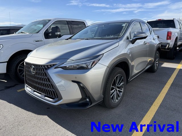 2024 Lexus NX Base's photo
