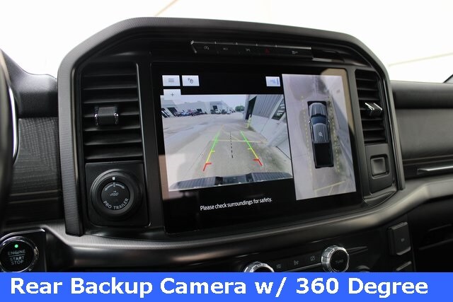 2021 Ford F-150 Platinum photo 3