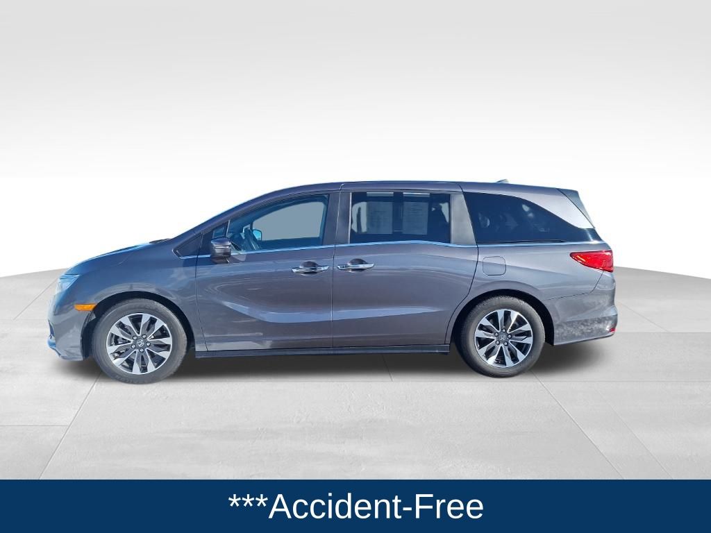 Used 2024 Honda Odyssey EX-L with VIN 5FNRL6H68RB045910 for sale in Lake City, Minnesota