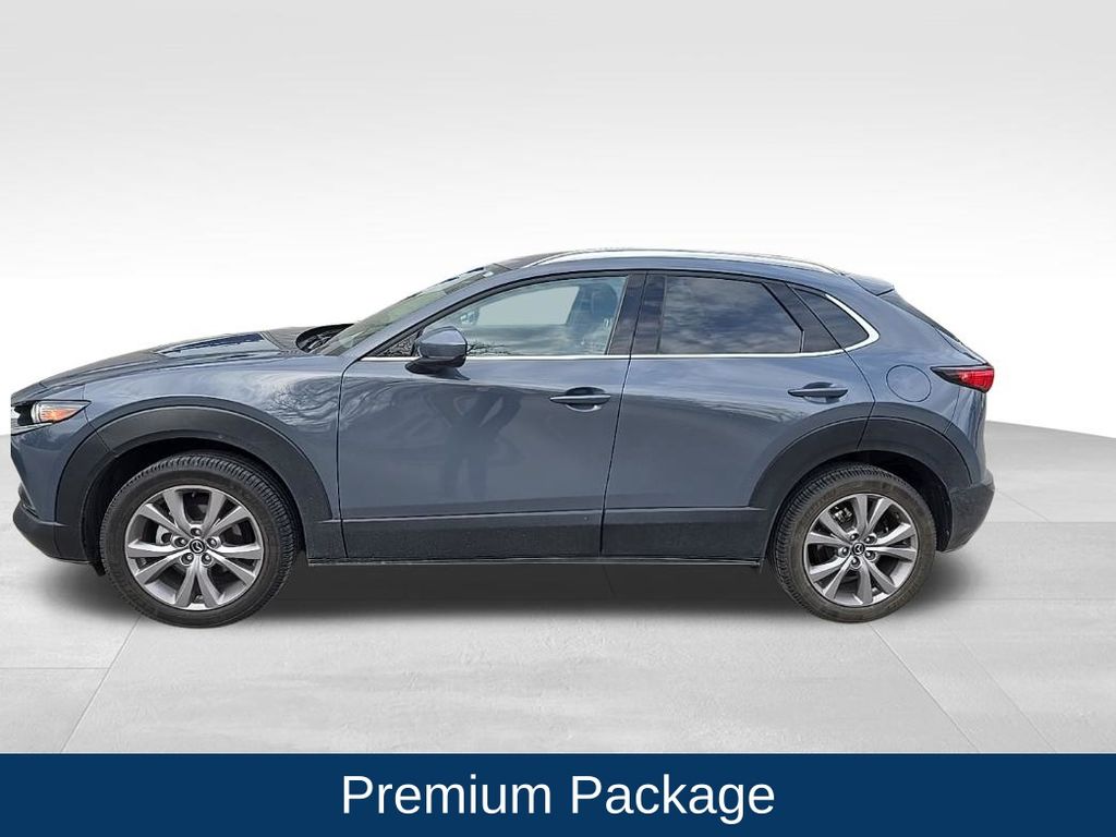 Used 2020 Mazda CX-30 Premium with VIN 3MVDMBEMXLM125858 for sale in Lake City, MN