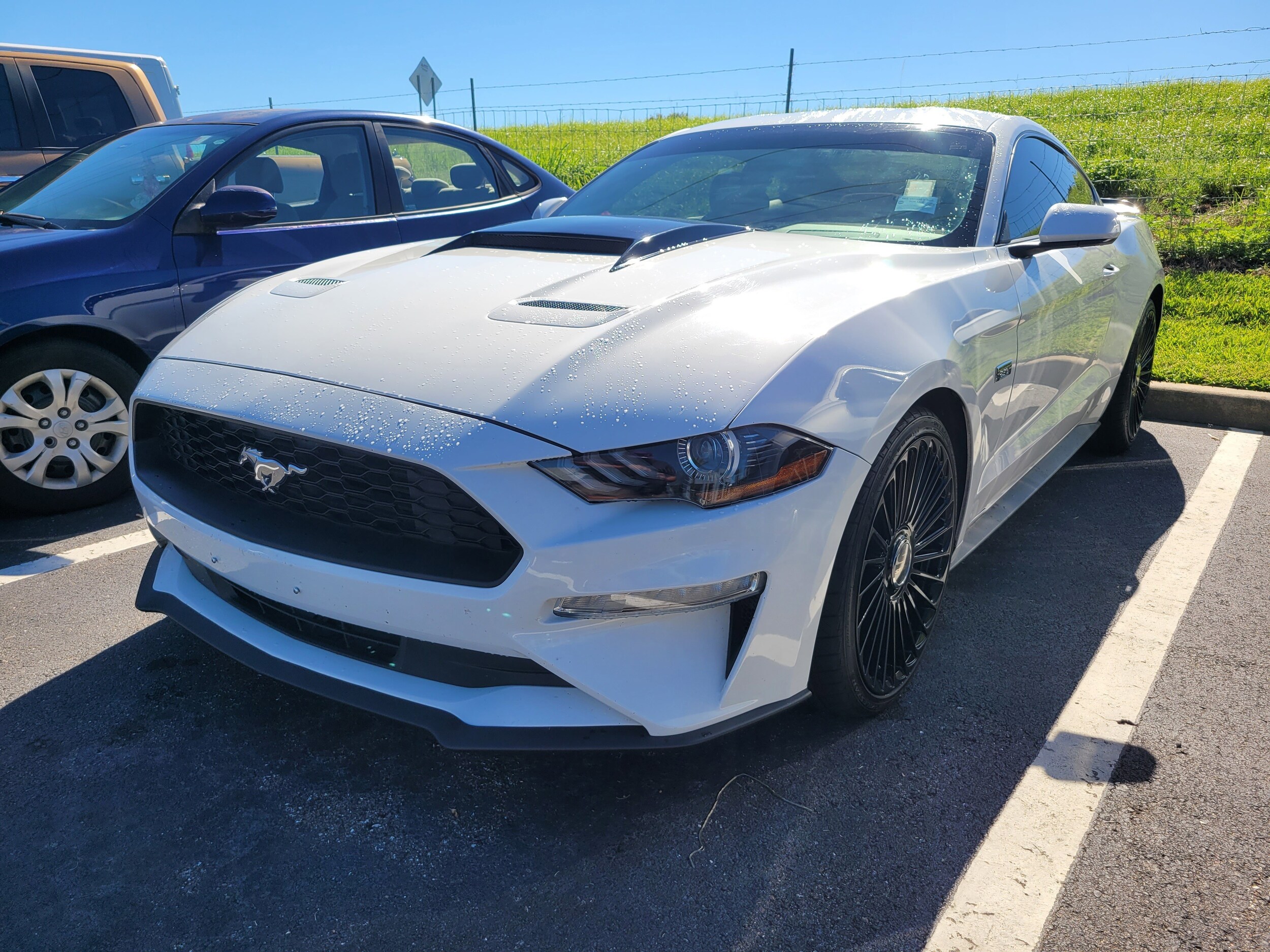 2019 Ford Mustang EcoBoost photo 3
