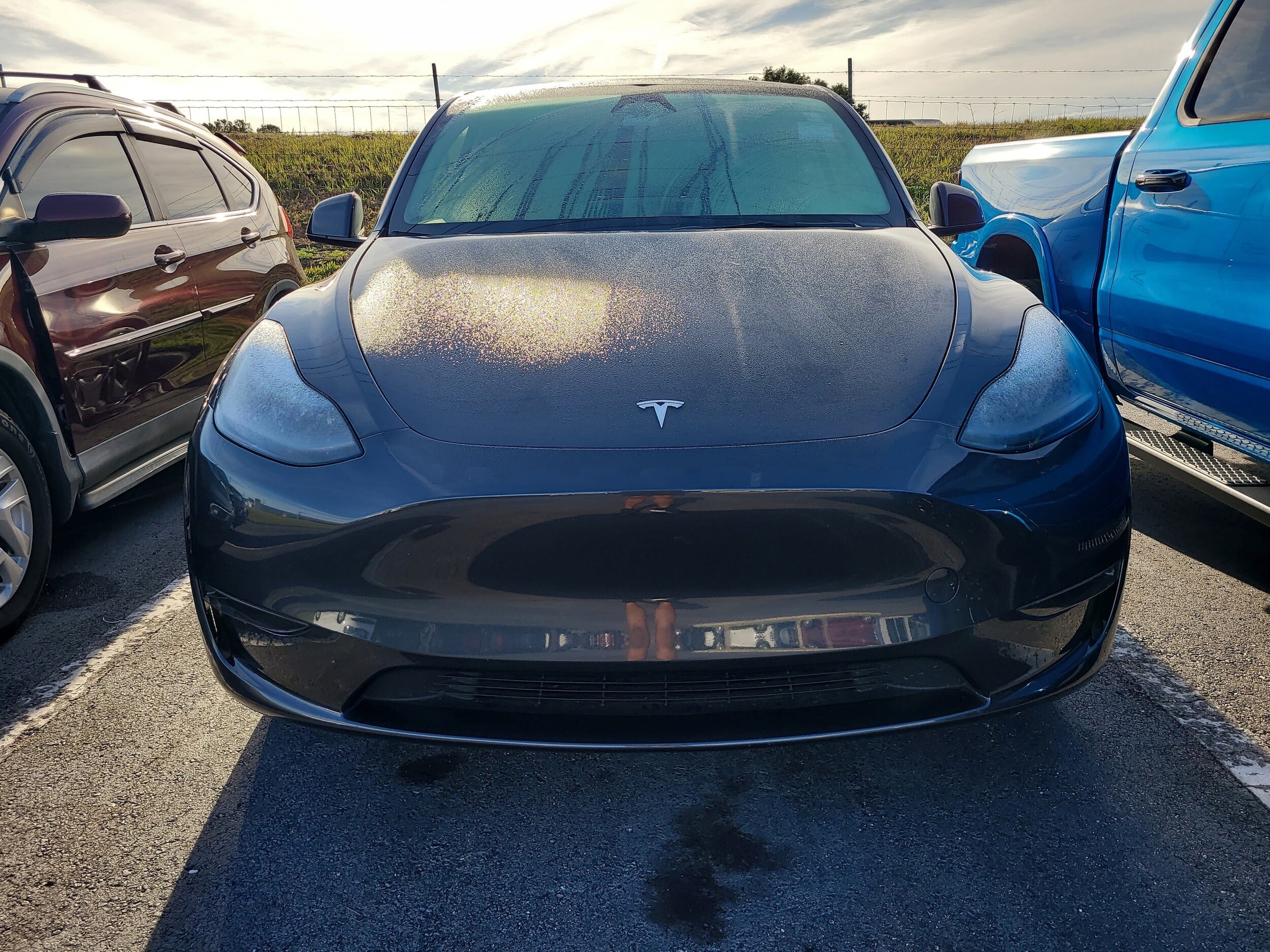 2024 Tesla Model Y photo 2