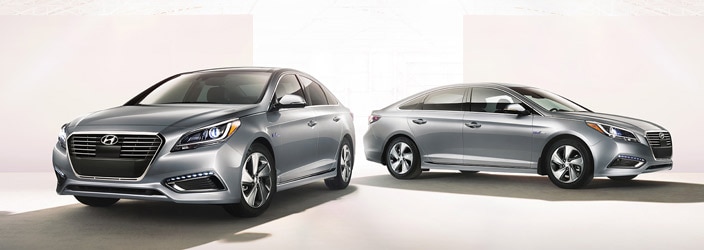5 Year cosst Sonata