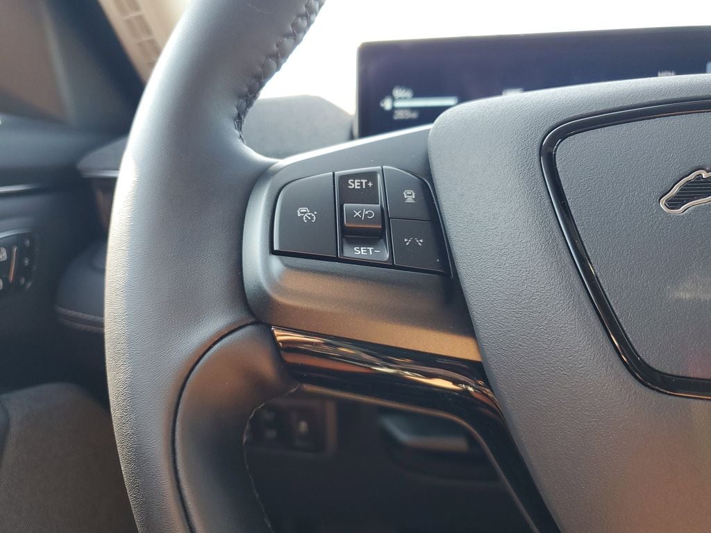 2025 Ford Mustang Mach-E Premium - Photo 18