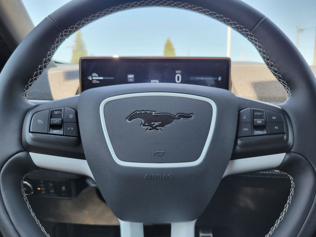 2025 Ford Mustang Mach-E GT - Photo 10