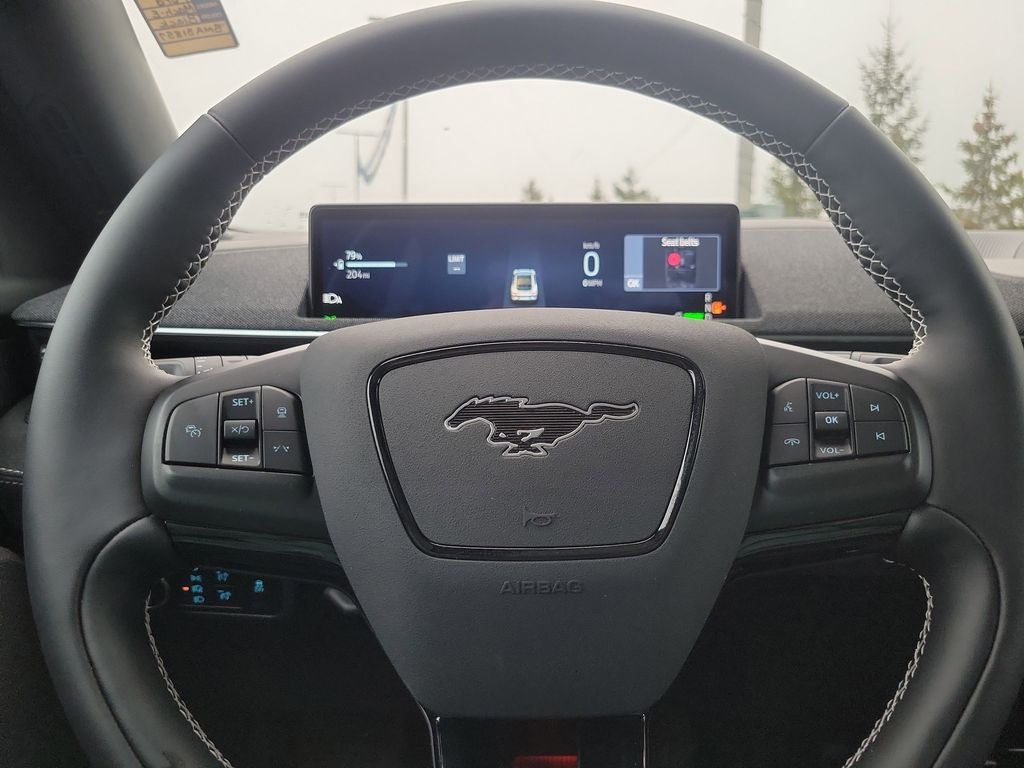 2025 Ford Mustang Mach-E GT - Photo 10
