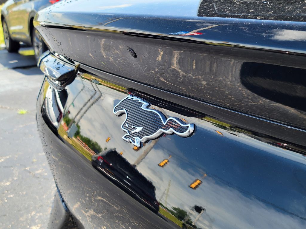 2025 Ford Mustang Mach-E GT - Photo 23