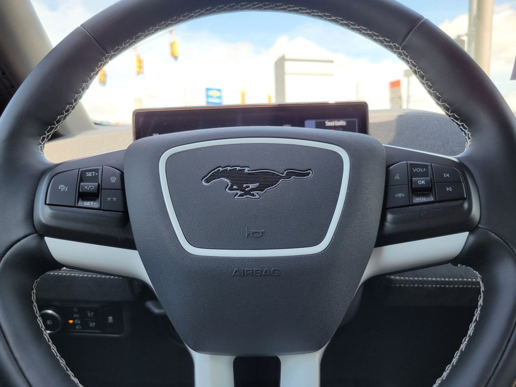 2025 Ford Mustang Mach-E GT - Photo 10