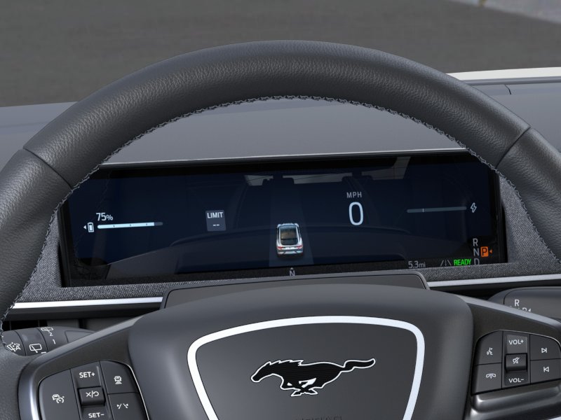 2025 Ford Mustang Mach-E GT - Photo 13