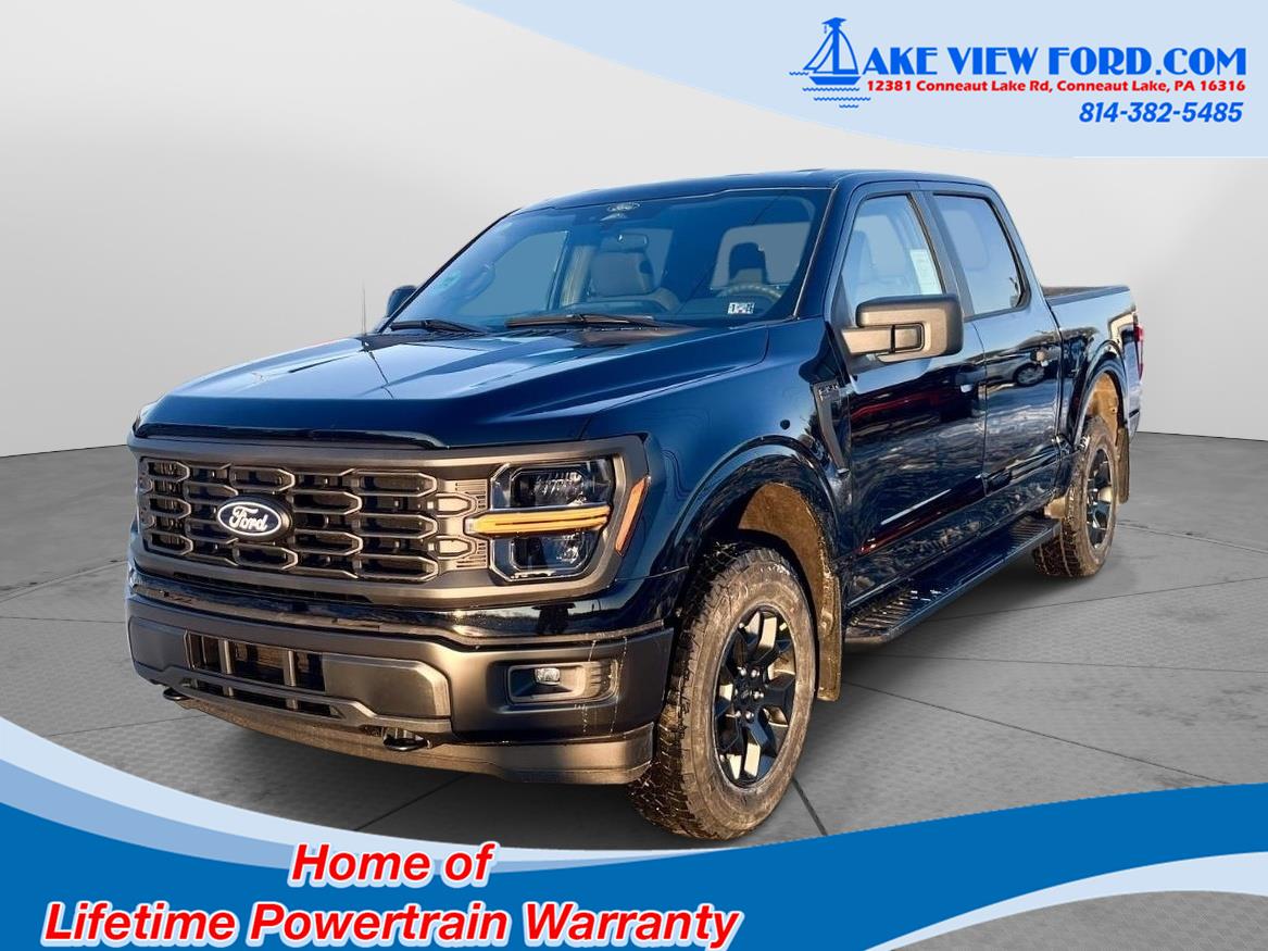 2025 Ford F-150 STX photo 2