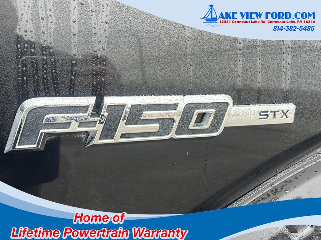 2014 Ford F-150 STX photo 3