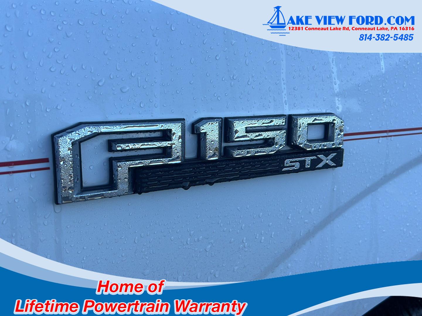 2020 Ford F-150 XL photo 4