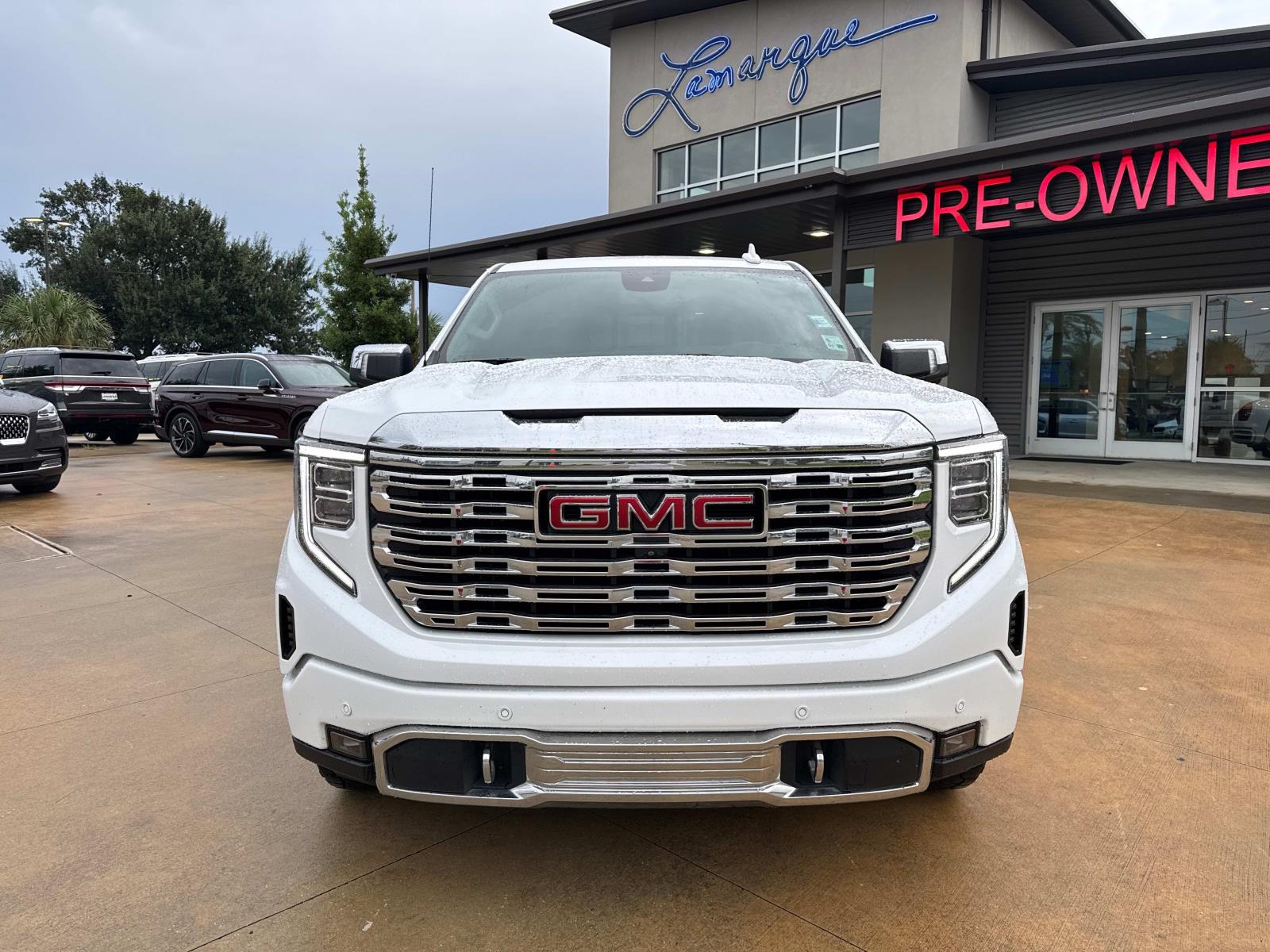 2022 Gmc Sierra 1500 Denali photo 3