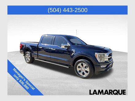 2022 Ford F-150 Platinum Truck