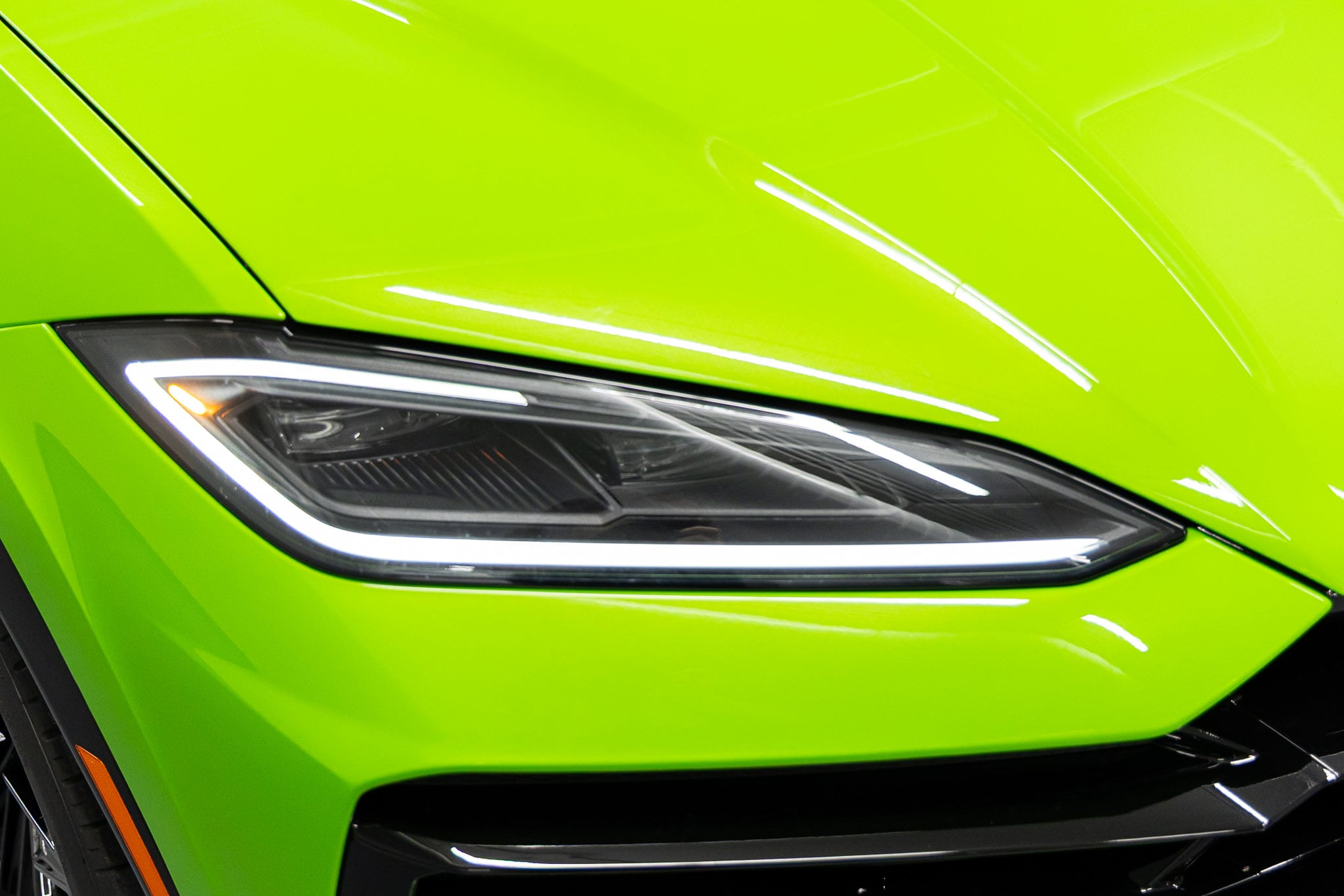 2026 Lamborghini Urus SE - Photo 11