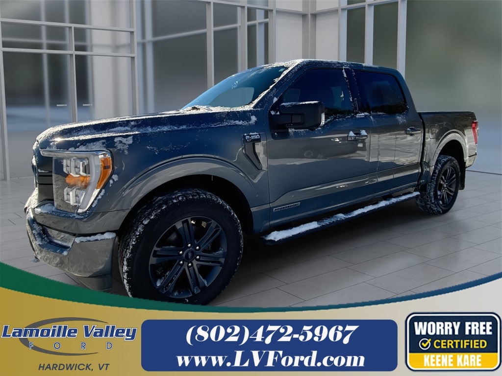 2023 Ford F-150 XLT's photo