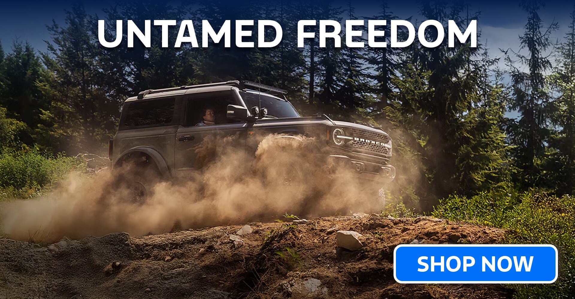 2026 Ford Bronco Trim Levels