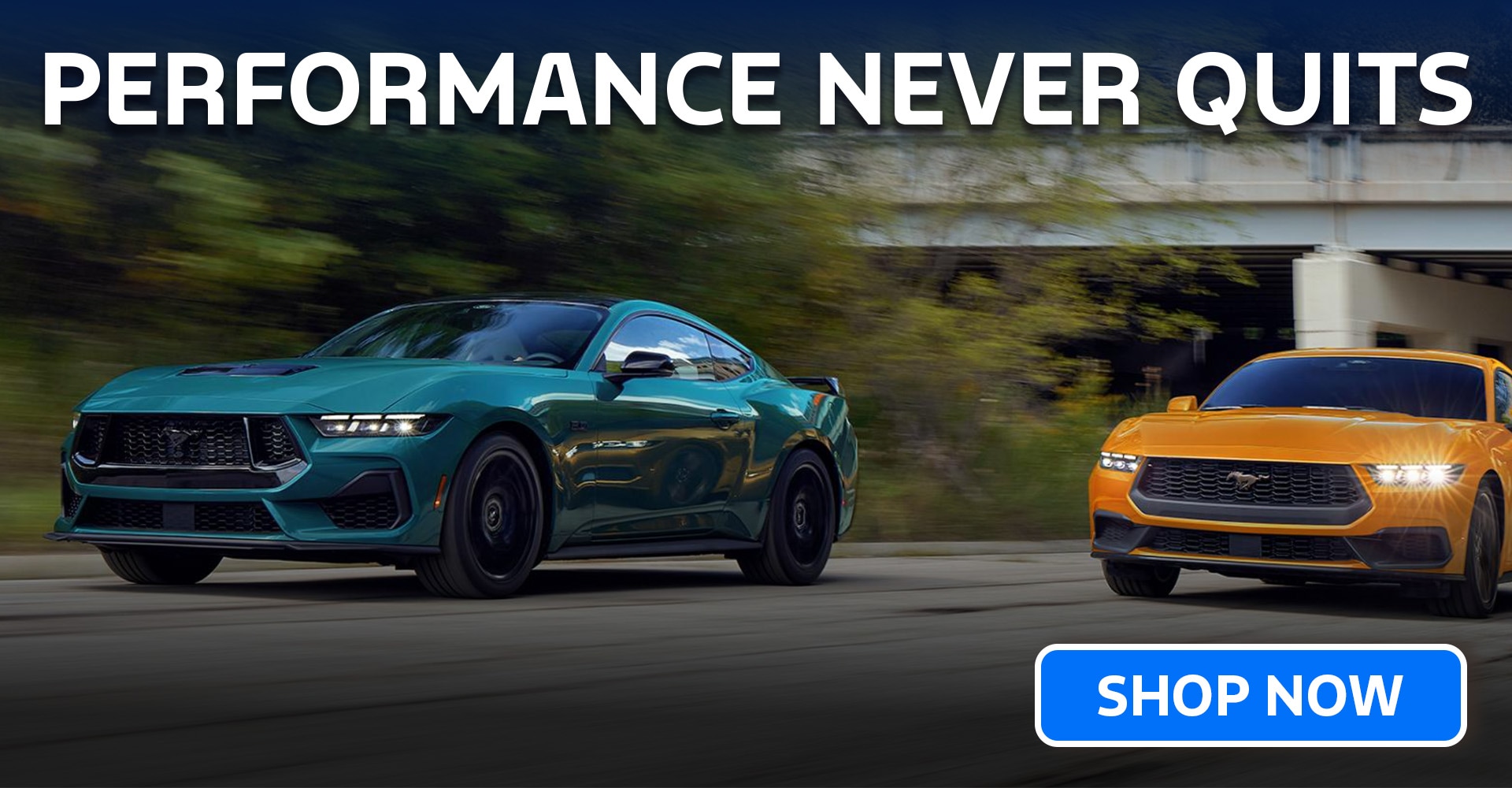 2026 Ford Mustang Hardwick VT