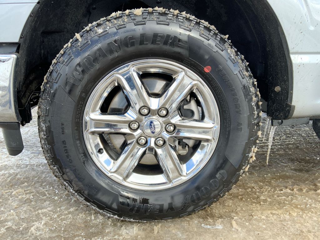 2025 Ford F-150 XLT - Photo 10