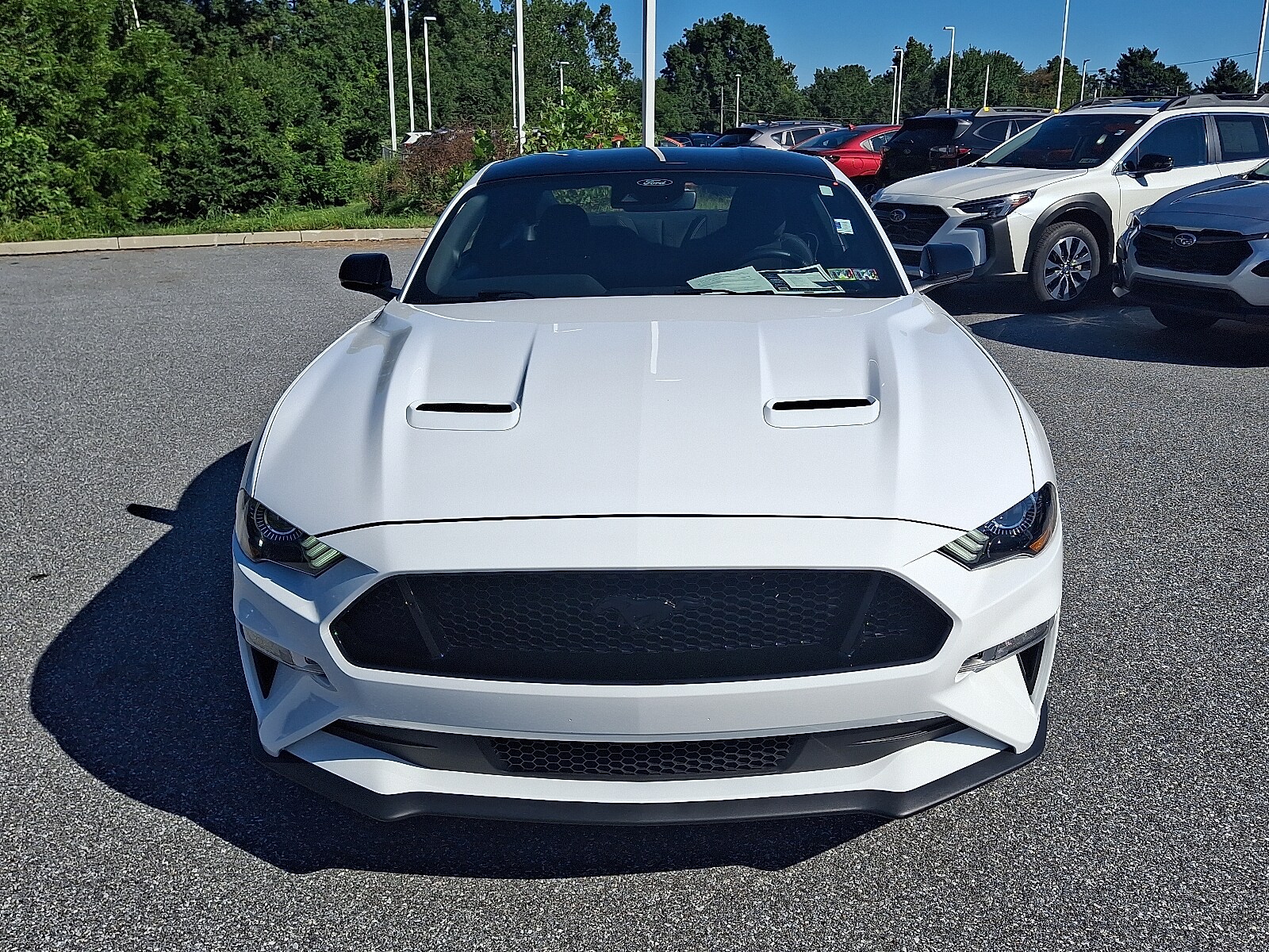 2022 Ford Mustang GT photo 2