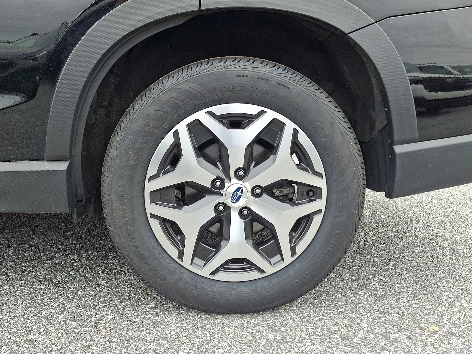 View 7