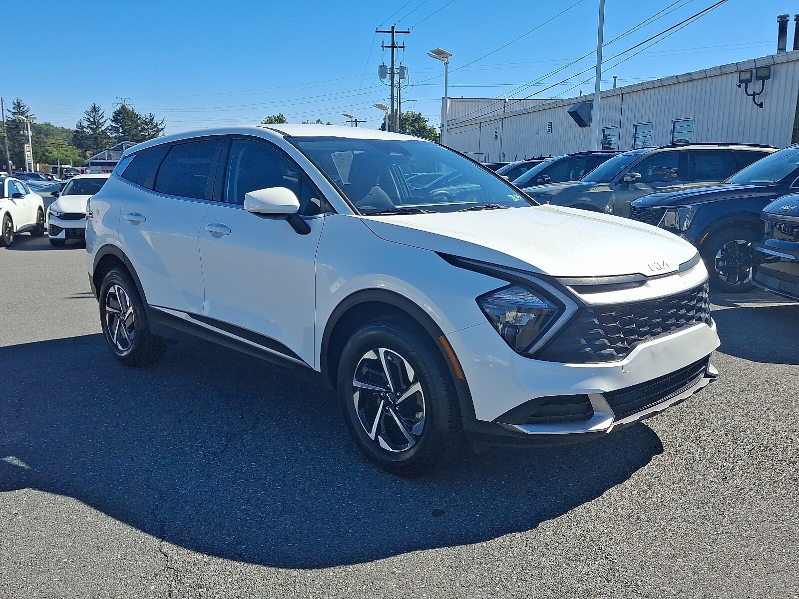 2023 Kia Sportage Hybrid LX photo 3