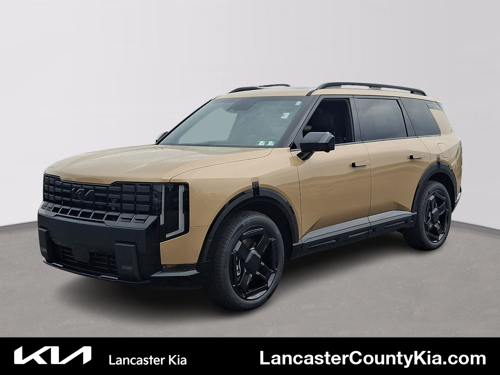  Kia Telluride Hybrid