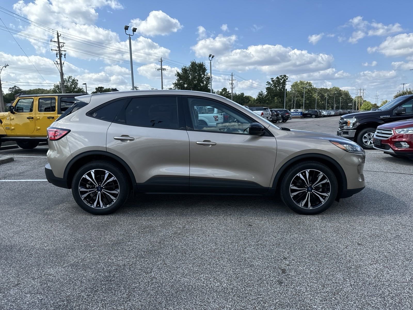 Certified 2021 Ford Escape SE with VIN 1FMCU0G62MUA46046 for sale in Collierville, TN