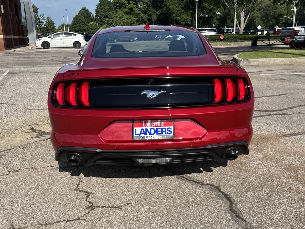 Used 2023 Ford Mustang EcoBoost EcoBoost Fastback