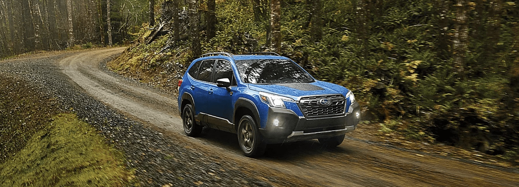 2024-Subaru-Forester-Hero.png