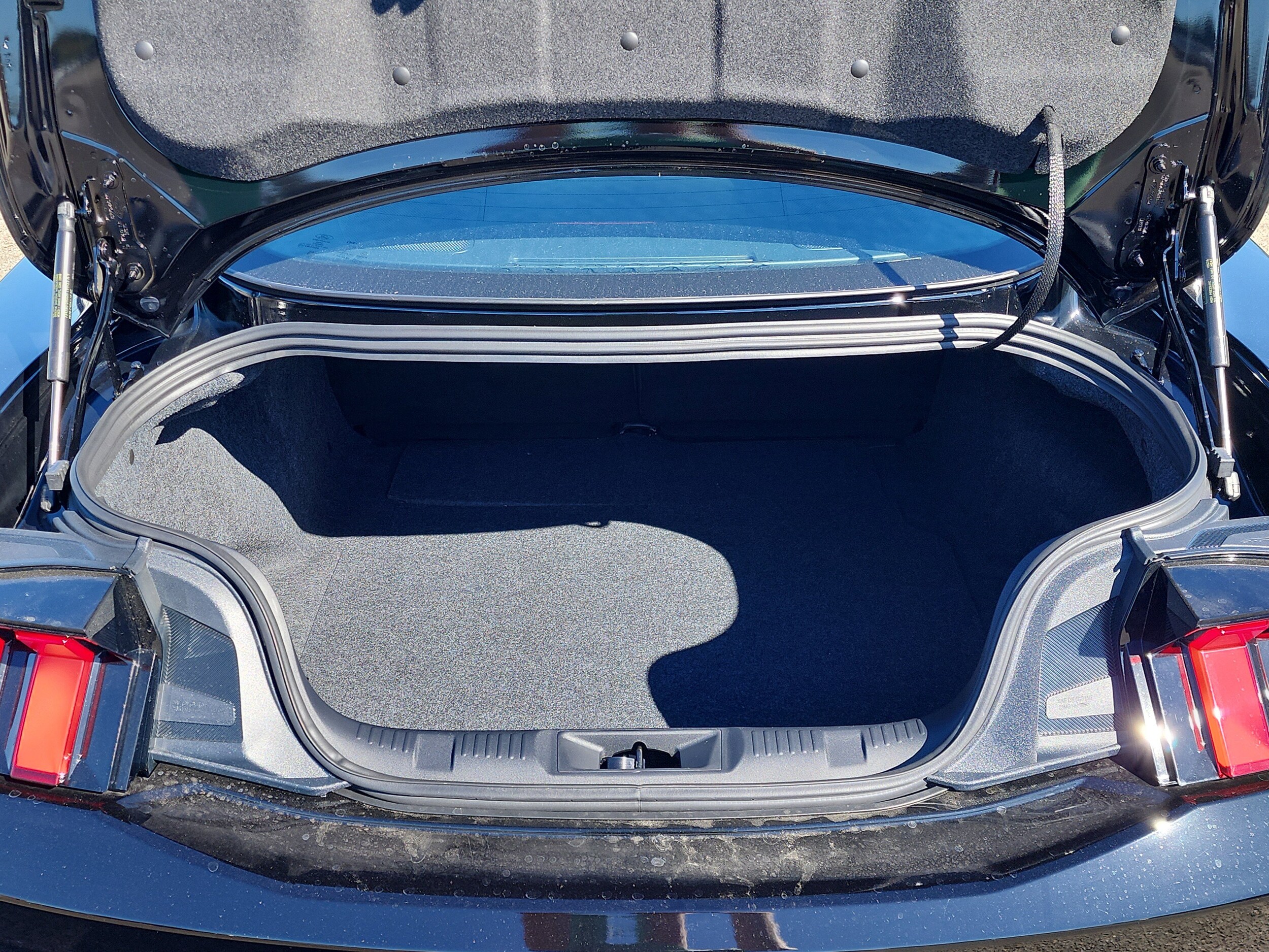 2025 Ford Mustang GT Premium photo 4