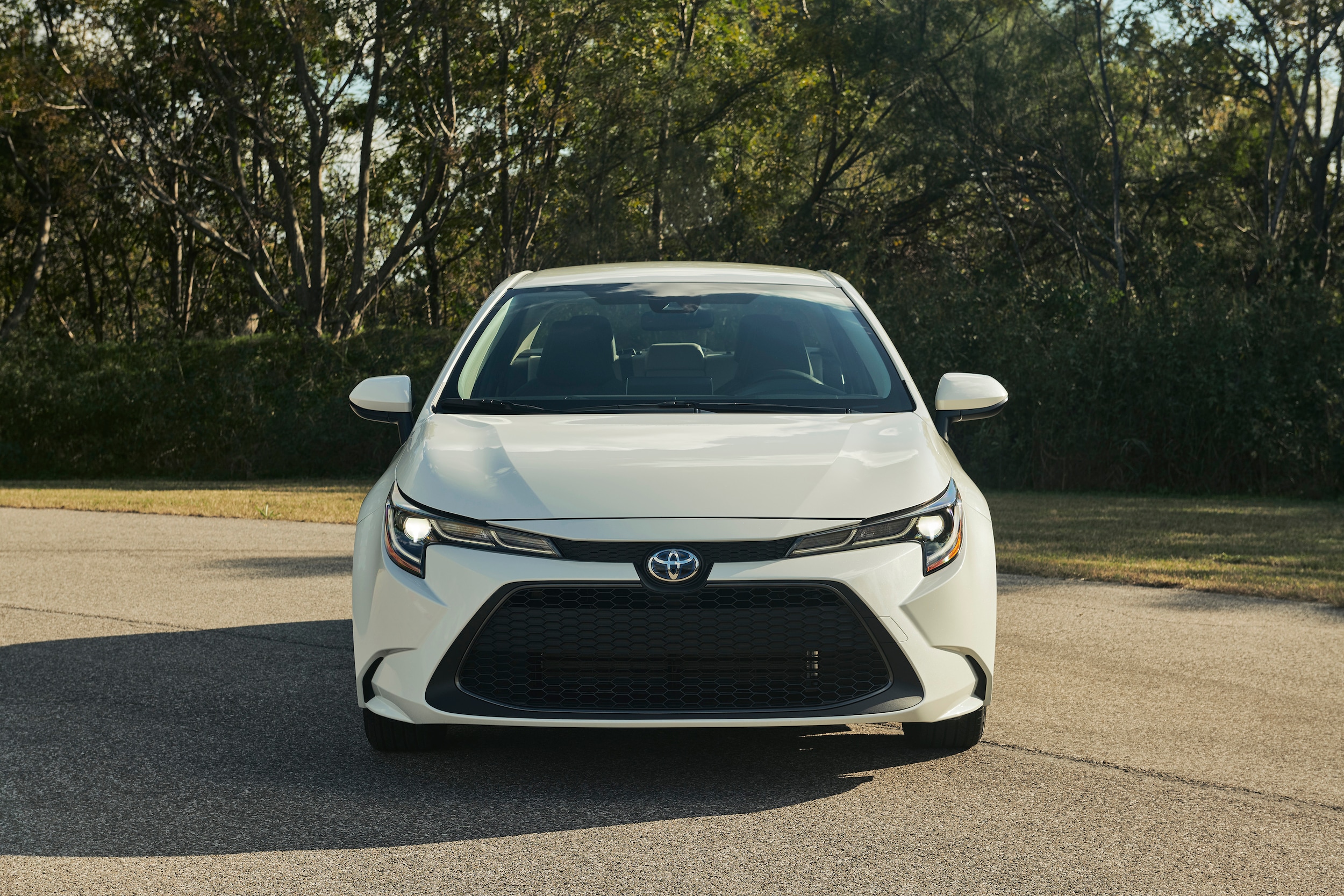 toyota corolla hybrid 2020