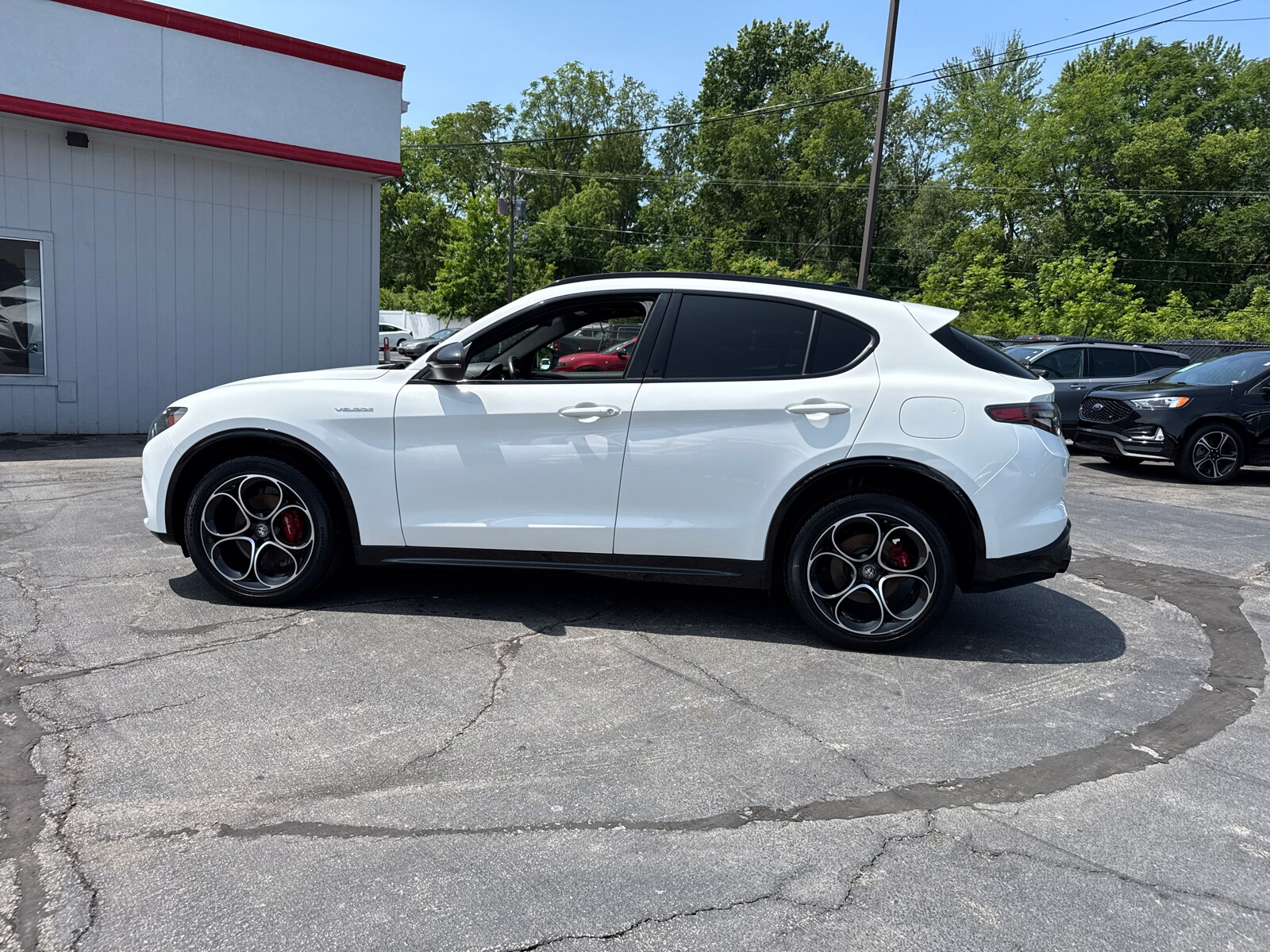 2024 Alfa Romeo Stelvio Tributo Italiano photo 3