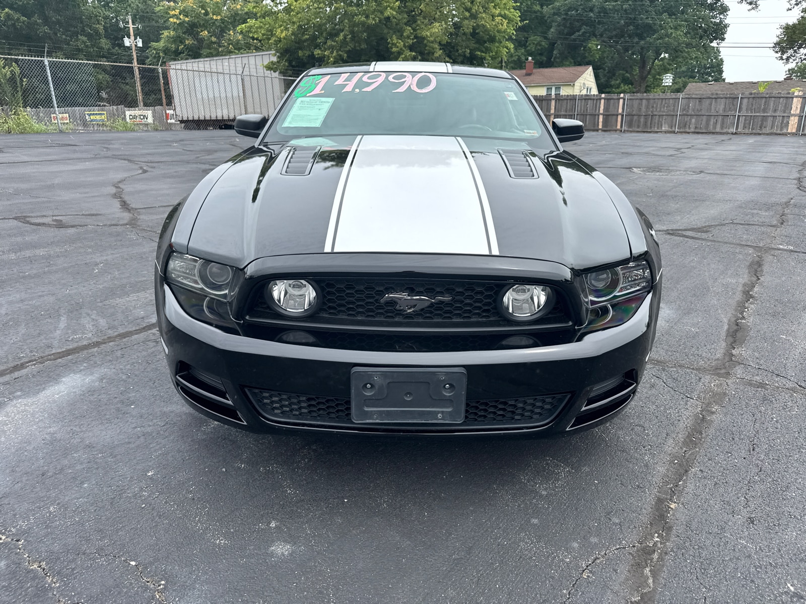 Used 2013 Ford Mustang GT with VIN 1ZVBP8CF2D5274311 for sale in Kansas City