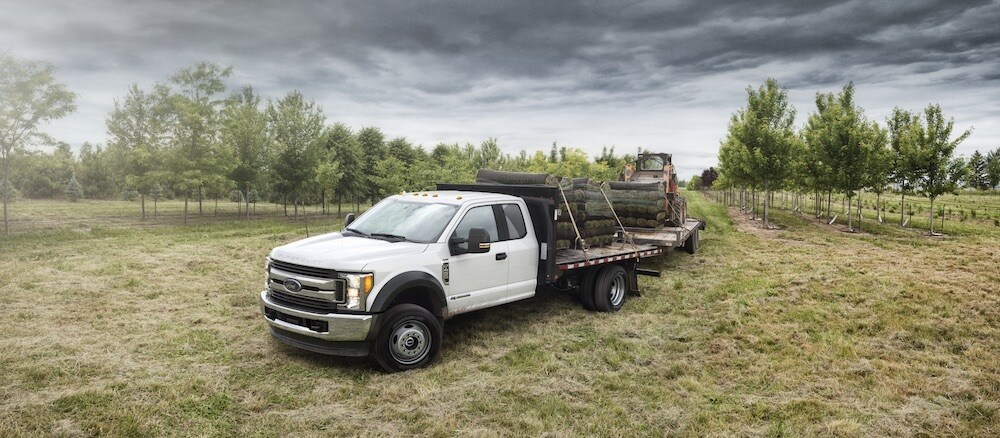 2018 Ford Super Duty Pickup Tricks Available in Springfield, IL