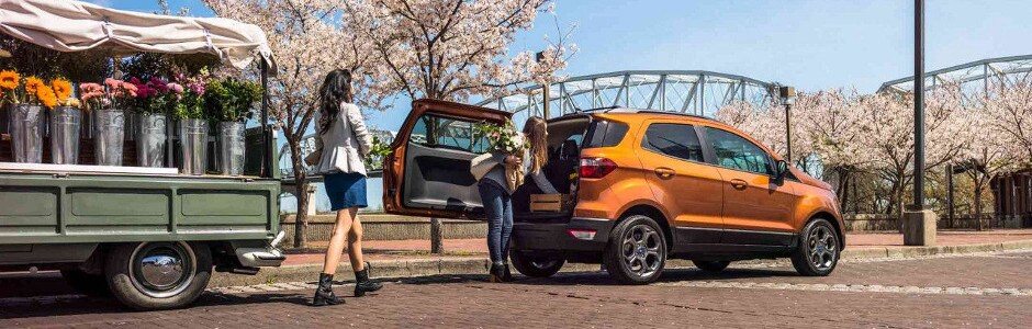 Orange 2018 Ford EcoSport
