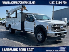 2024 Ford Super Duty F-550 DRW 4WD Reg Cab WB CA Truck Standard Cab for sale near Sherman, IL