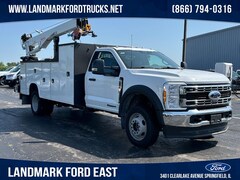 2024 Ford Super Duty F-550 DRW 4WD Reg Cab WB CA Truck Standard Cab for sale near Sherman, IL