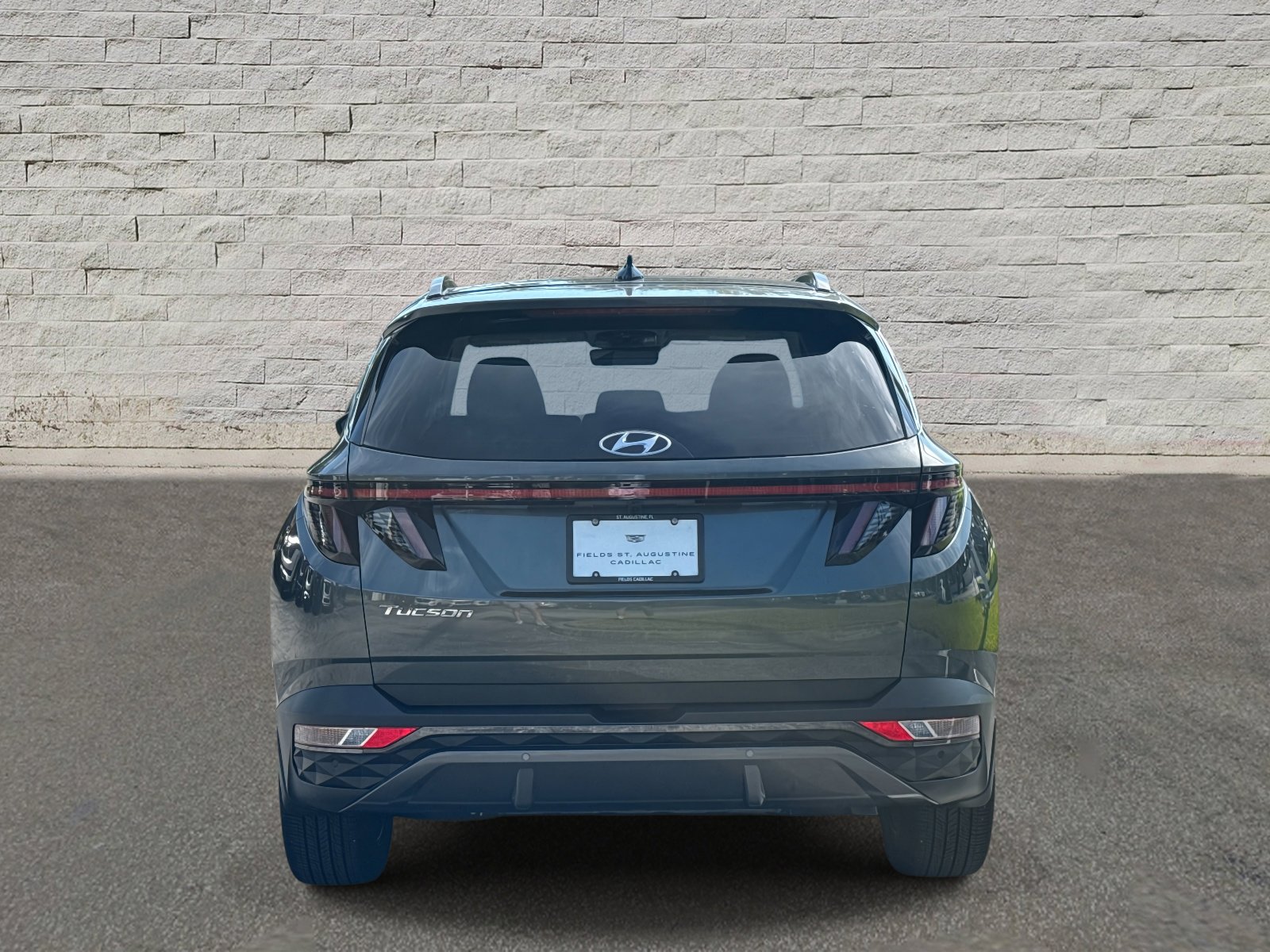 2023 Hyundai Tucson Limited photo 3