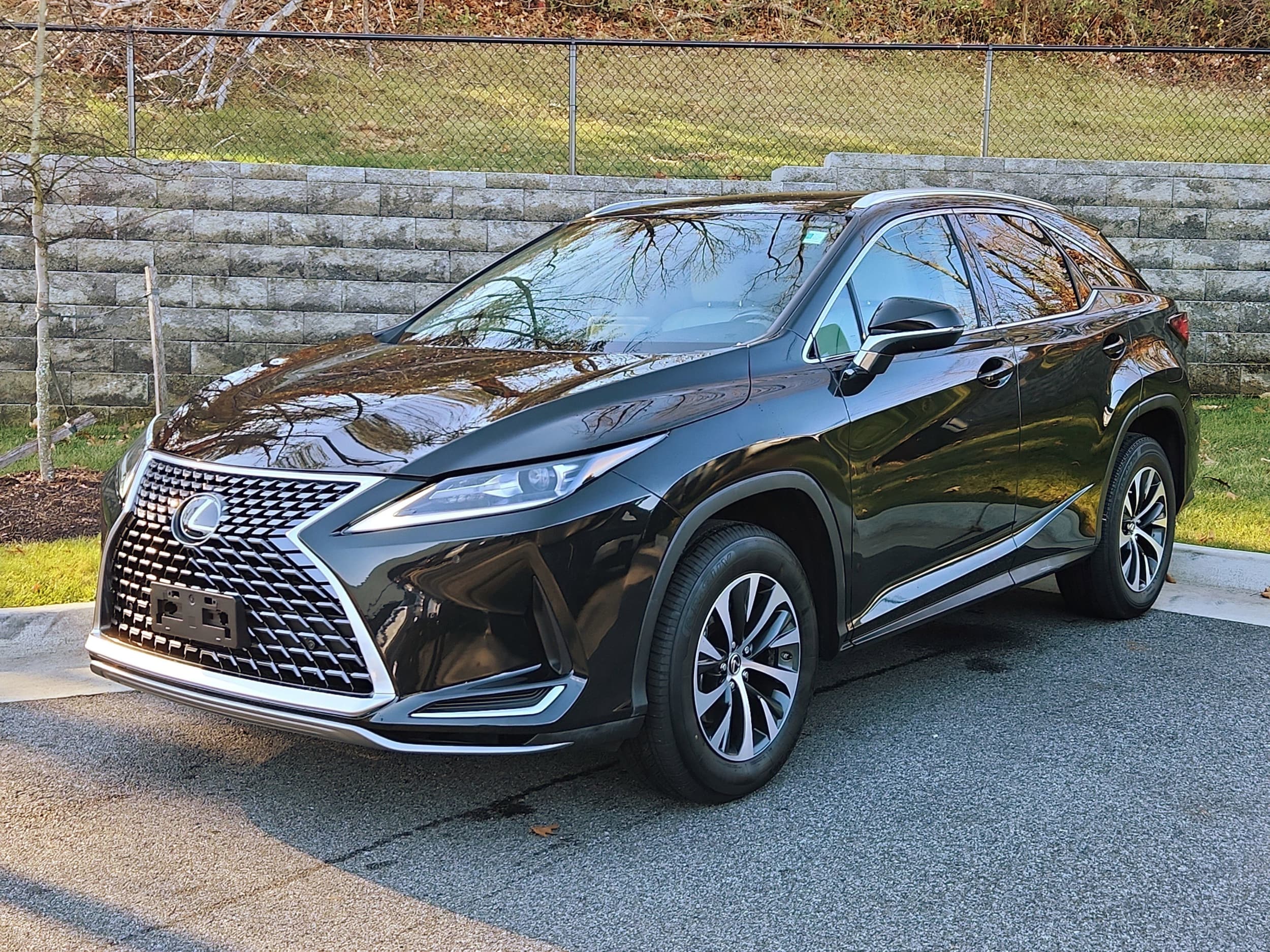 2021 Lexus RX 350's photo