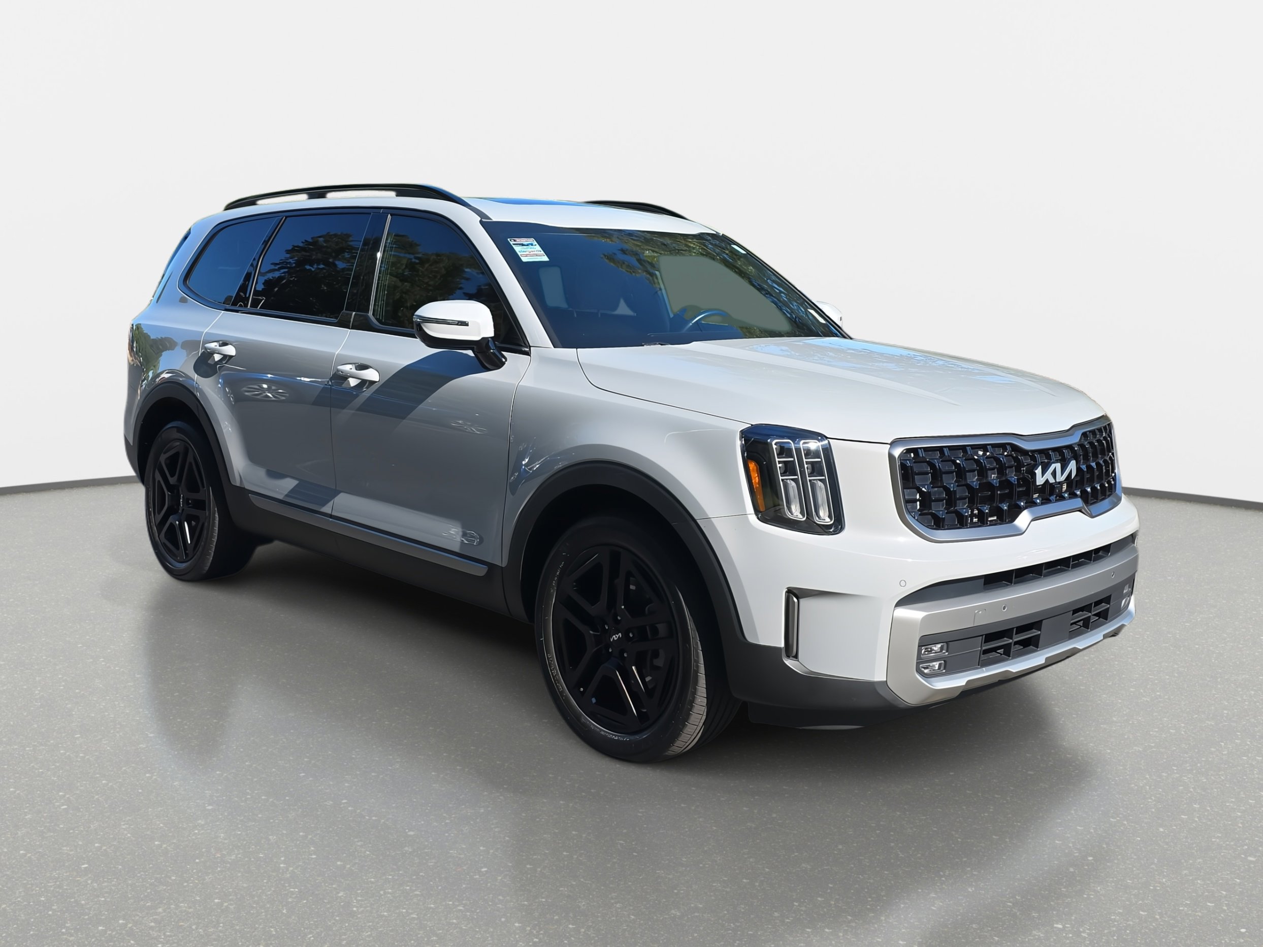 2023 Kia Telluride SX Prestige X-Line photo 3