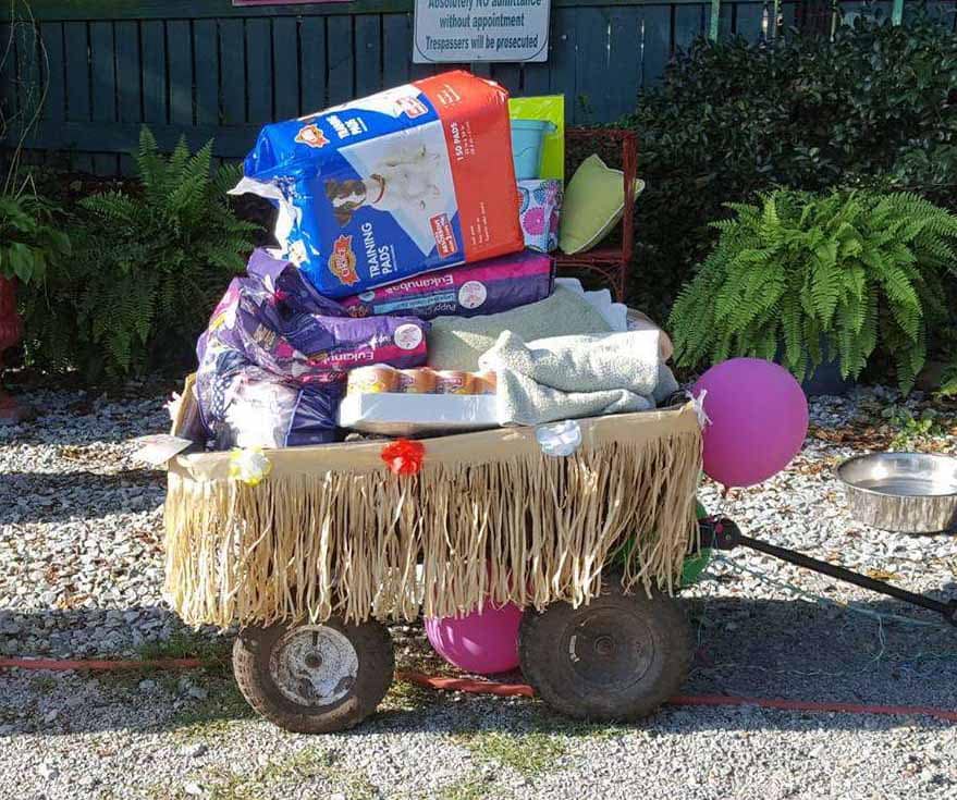 Saving Grace neede supplies