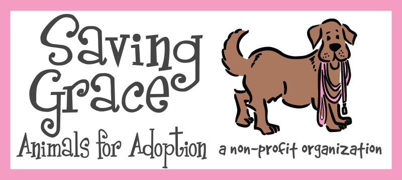Saving Grace Pet Adoption