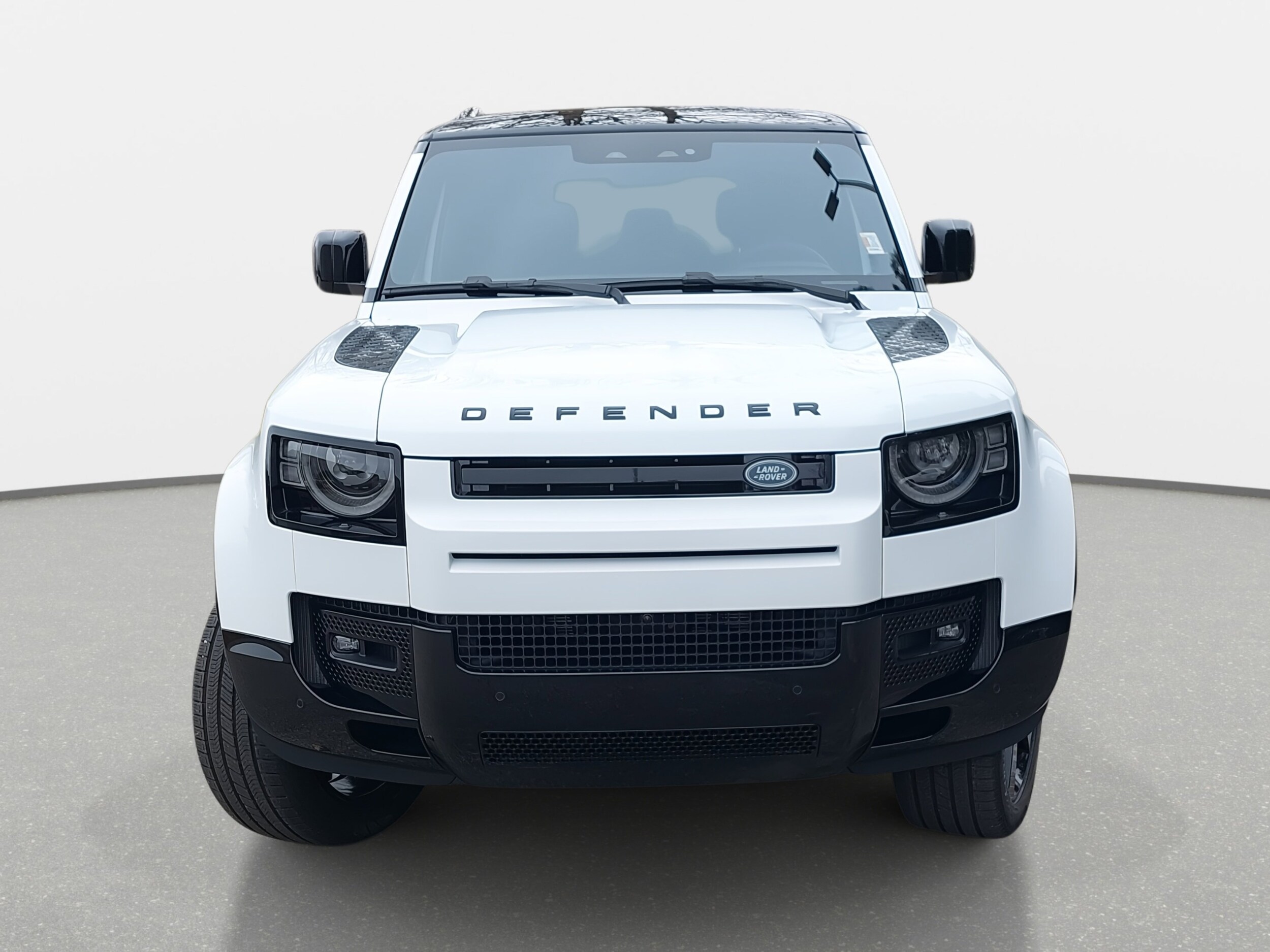2025 Land Rover Defender 110 photo 2