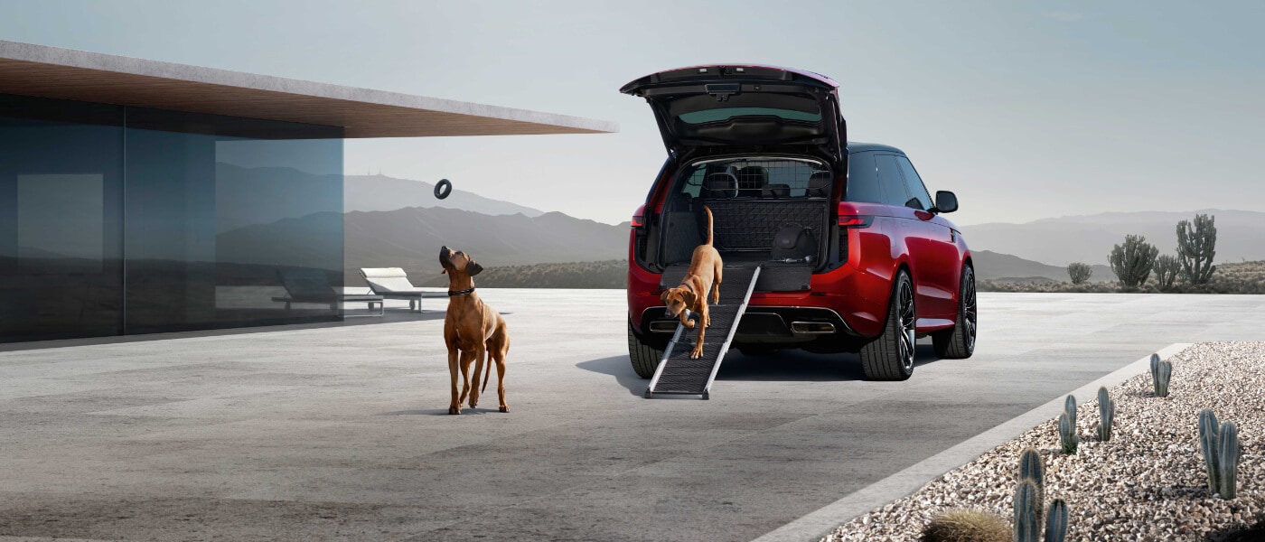 2025 Range Rover Sport Exterior Trunk Open With Dogs Playing