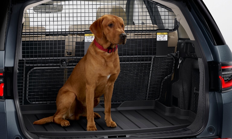 2025 Land Rover Discovery Sport Interior Trunk With Dog
